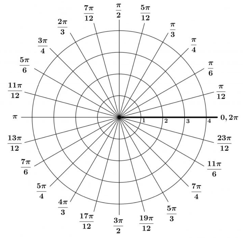 Polar Graph